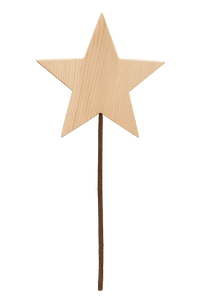 Großer Weihnachtsstern