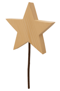 Großer Weihnachtsstern